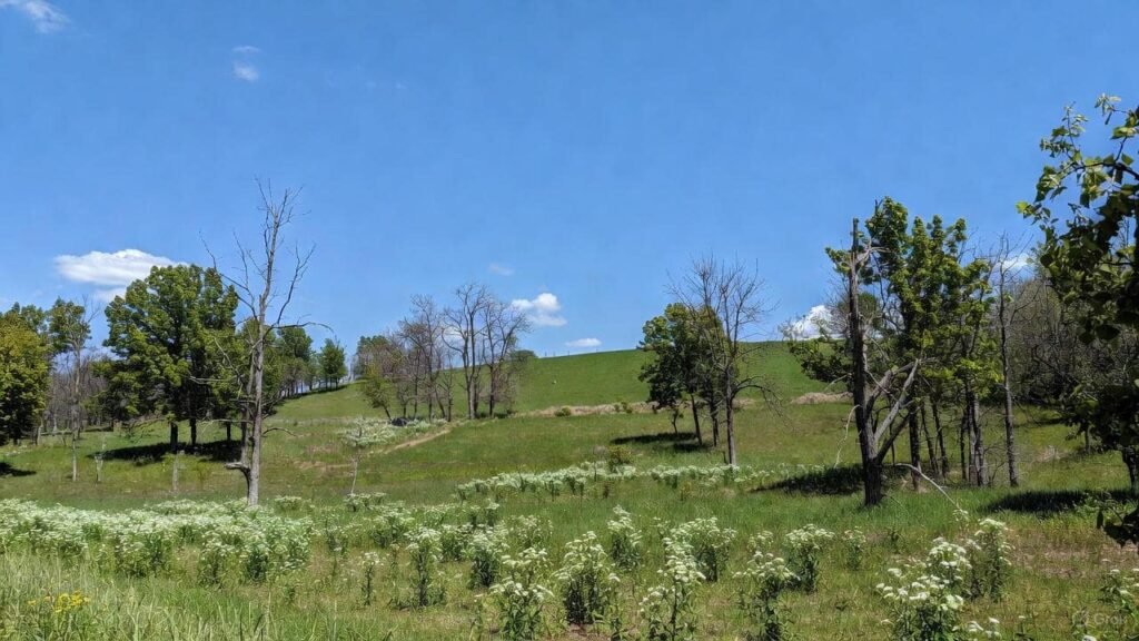 Vacant Land in Tuscarawas County